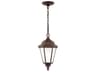 Generation Lighting Bakersville 1 - Light Outdoor Hanging Light
