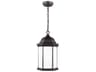Generation Lighting Sevier 1 - Light Outdoor Hanging Light