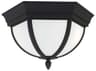 Generation Lighting Wynfield 2 - Light Outdoor Ceiling Light