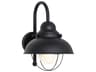 Generation Lighting Sebring 1-Light Outdoor Wall Light