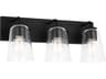Generation Lighting Miles 3-Light Midnight Black Vanity Light