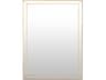 Global Views Lovely Brushed Brass Wall Mirror Rectangular