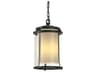 Hubbardton Forge Meridian 1 - Light Incandescent Outdoor Hanging Light