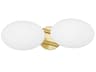 Hudson Valley Wagner 2-Light Aged Brass Glass LED Vanity Light