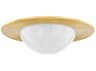Hudson Valley Geraldton 1-Light Aged Brass Flush Mount