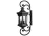 Hinkley Raley Outdoor Wall Light