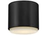 Hinkley Cedric 1-Light Black Cylinder Flush Mount