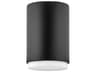 Hinkley Cedric 1-Light Black Glass Cylinder Flush Mount