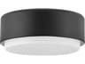 Hinkley Cedric 2-Light Black Glass Drum Flush Mount