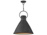 Hinkley Winnie 1-Light Aged Zinc Gray Bell Pendant