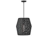 Hinkley Luca 1-Light Black Blac Rattan Pendant