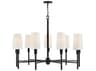 Hinkley Fenwick 9-Light Black Chandelier