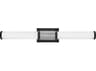 Hinkley Zevi Black Chrome Glass LED Vanity Light