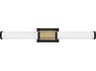 Hinkley Zevi Black Lacquered Brass Glass LED Vanity Light