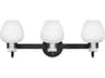 Hinkley Sylvie 3-Light Black Vanity Light