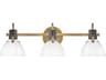 Hinkley Argo 3-Light Heritage Brass Black Glass Vanity Light