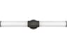 Hinkley Facet Black Oxide Glass LED Vanity Light