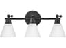 Hinkley Arti 3-Light Black Glass Vanity Light