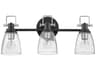 Hinkley Easton 3-Light Black Chrome Glass Vanity Light