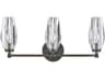 Hinkley Ana 3-Light Black Oxide Crystal Vanity Light