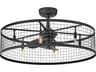 Hinkley Finnigan 30" Ceiling Fan