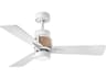 Hinkley Atticus 42" Ceiling Fan