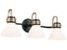 Kichler Farum 3-Light Black Bronze Glass Vanity Light