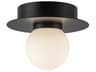 Kuzco Lighting Elixir Black Globe Flush Mount