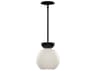 Kuzco Lighting Arcadia 1-Light Black Globe Mini Pendant