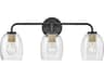 Lark Living Percy 3-Light Black Vanity Light