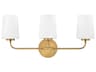 Lark Living Kline 3-Light Heritage Brass Vanity Light