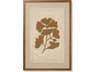 Loloi Clover & Clay Brown Wall Art