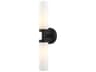 Livex Lighting Aero 2-Light Black White Glass Wall Sconce