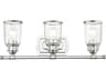 Livex Lighting Lawrenceville 3-Light Polished Chrome Clear Glass Vanity Light