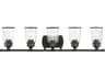 Livex Lighting Lawrenceville 5-Light Black Glass Vanity Light