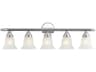 Livex Lighting Neptune 5-Light Polished Chrome Glass Vanity Light