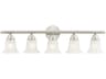 Livex Lighting Neptune 5-Light Brushed Nickel Glass Vanity Light