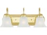Livex Lighting Riviera 3-Light Polished Brass Glass Vanity Light