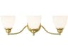 Livex Lighting Somerville 3-Light Polished Brass Glass Vanity Light