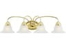 Livex Lighting Edgemont 4-Light Polished Brass Glass Vanity Light