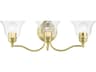 Livex Lighting Moreland 3-Light Polished Brass Glass Vanity Light