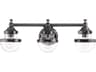 Livex Lighting Oldwick 3-Light Polished Black Chrome Glass Vanity Light
