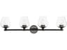Livex Lighting Willow 4-Light Black Chrome Glass Vanity Light