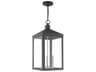 Livex Lighting Nyack 3 - Light Outdoor Hanging Light