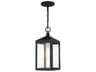 Livex Lighting Nyack Outdoor Hanging Light