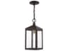 Livex Lighting Nyack Outdoor Hanging Light