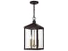 Livex Lighting Nyack Outdoor Hanging Light