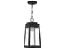 Livex Lighting Oslo Outdoor Hanging Light
