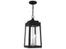 Livex Lighting Oslo Outdoor Hanging Light