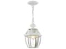 Livex Lighting Monterey Outdoor Hanging Light
